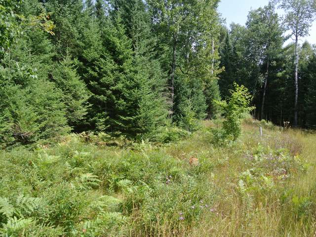 On Blue Lake Road Minocqua, WI 54548 - Photo 9 of 11 Gallery Image 9