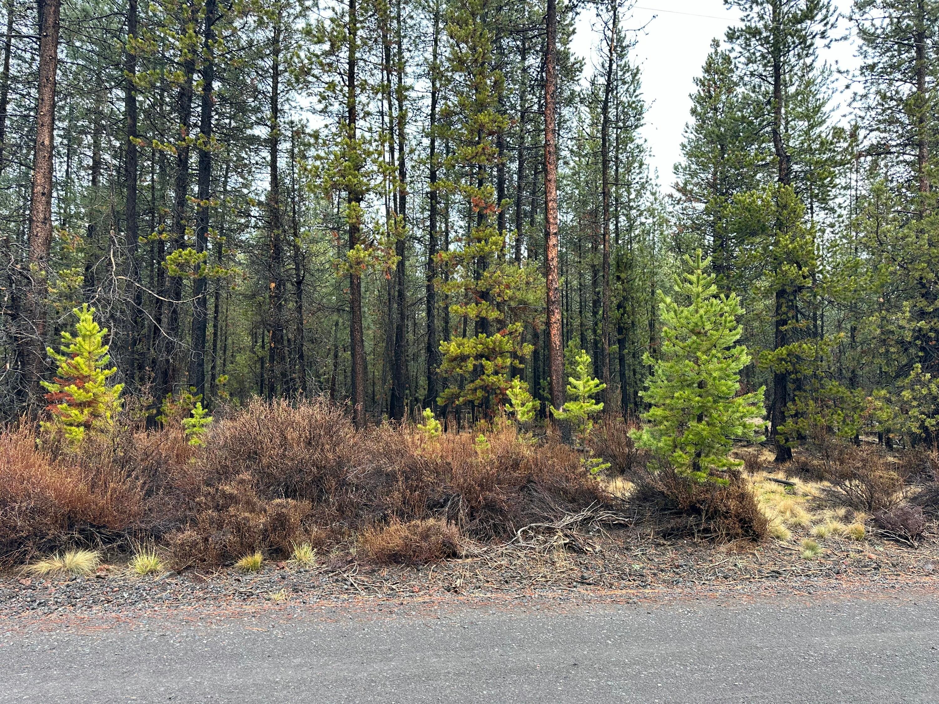 16842 Elsinore Road Bend, OR 97707 - Photo 2 of 7 02