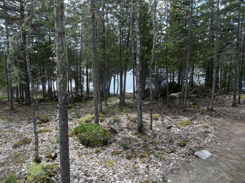 135 Meddybemps Shores Road Alexander, ME 04694 - Photo 26 of 38 100_8515