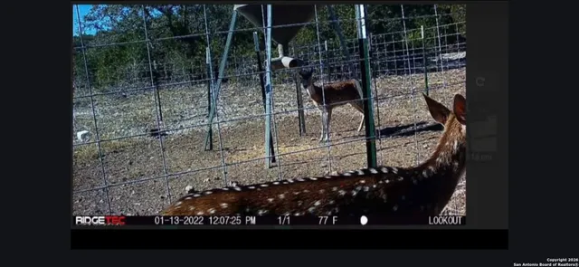 $190,000 | Lot 22 Wild Canyon Ranch, Del Rio, TX 78840