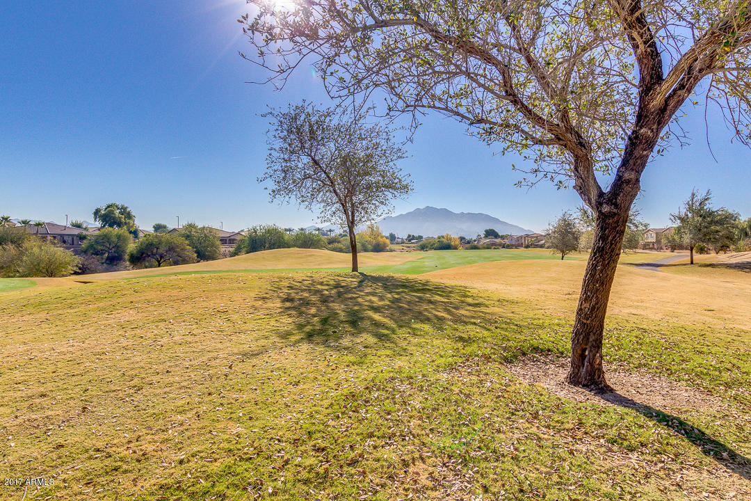 3246 East Ridgewood Lane Gilbert, AZ 85298 - Photo 59 of 124 059-Ridgewood