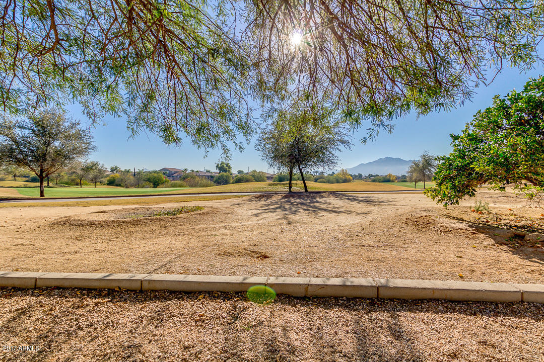3246 East Ridgewood Lane Gilbert, AZ 85298 - Photo 61 of 124 061-Ridgewood