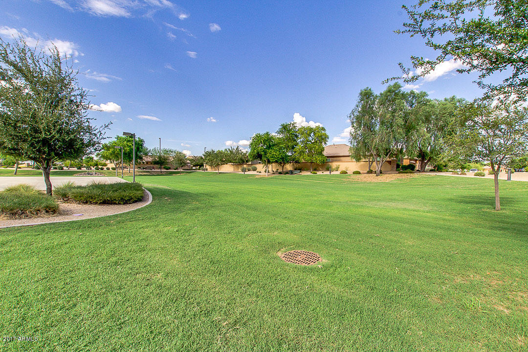 3246 East Ridgewood Lane Gilbert, AZ 85298 - Photo 87 of 124 087-Ridgewood