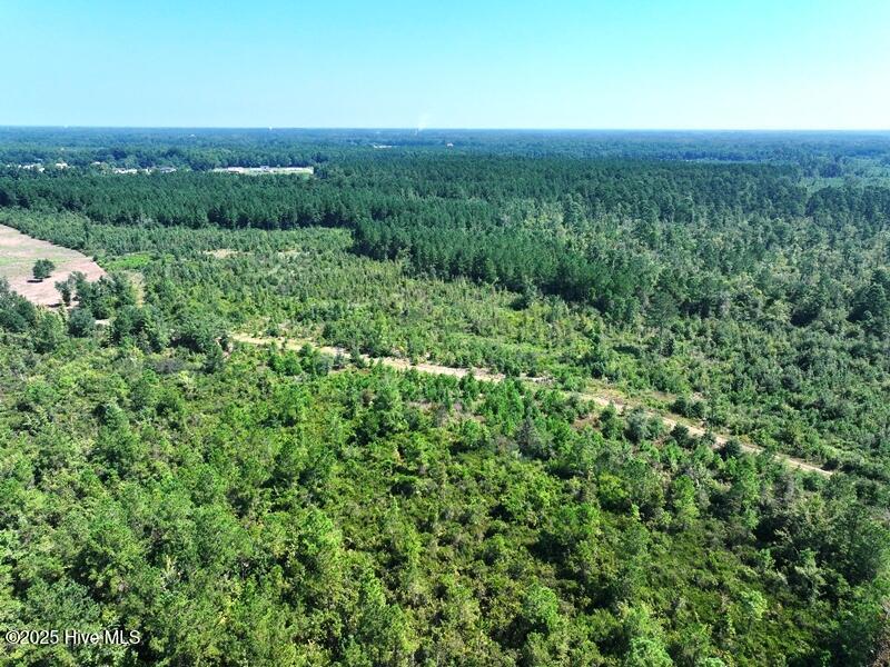 Tbd Alamac Road Lumberton, NC 28358 - Photo 4 of 16 DJI_20250809040016_0600_D