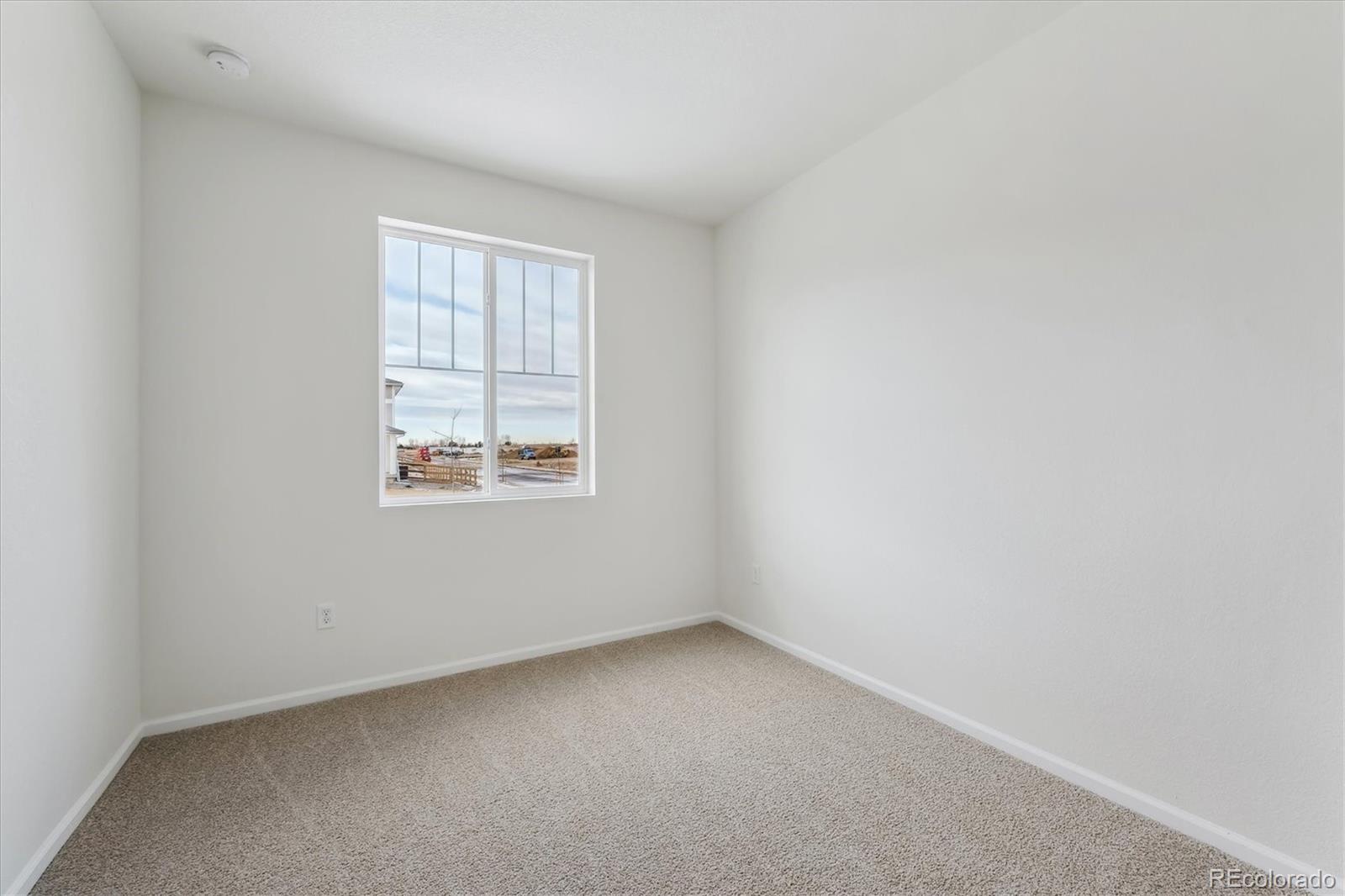 999 Rustling Street Windsor, CO 80550 - Photo 4 of 22 Gallery Image 4