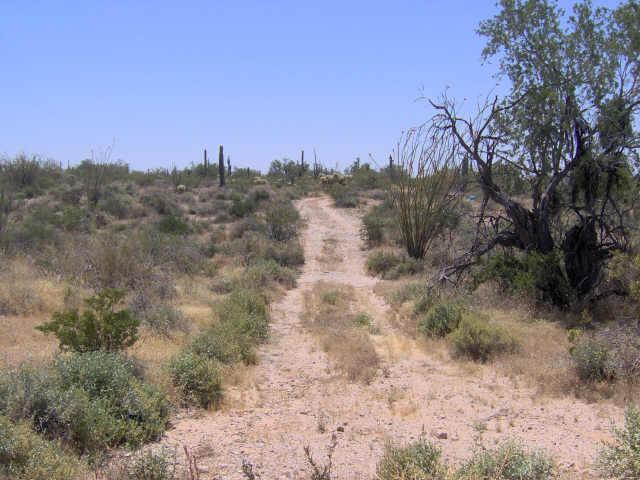 0 East Wee Jog Road, Unit 13 Florence, AZ 85132 - Photo 4 of 6 Additional Photo
