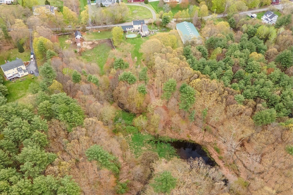 85 Forest Street Dunstable, MA 01827 - Photo 38 of 42 a view of a yard with plants