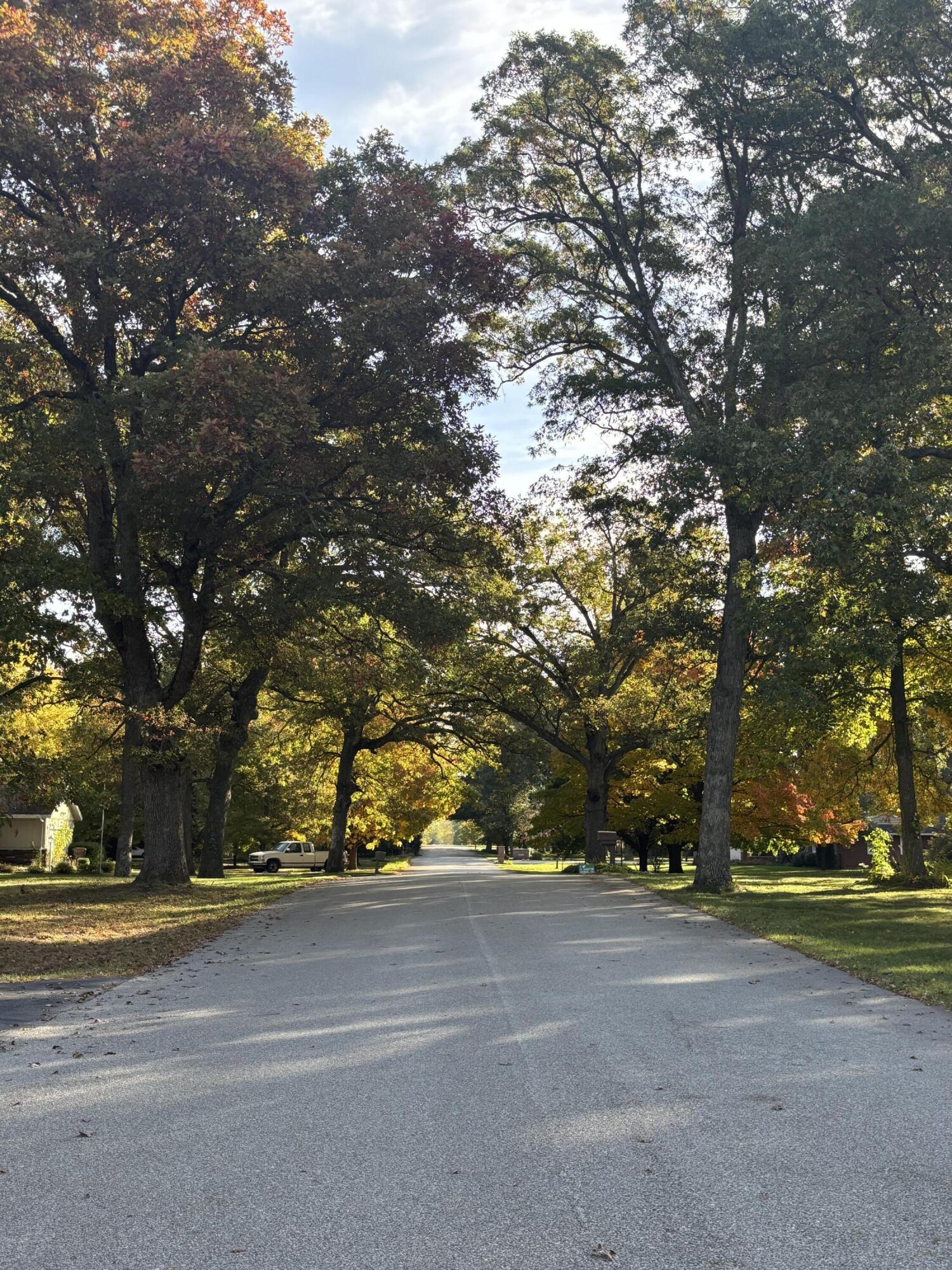 8193 Oak Tree Drive Rensselaer, IN 47978 - Photo 29 of 29 a view of road and trees