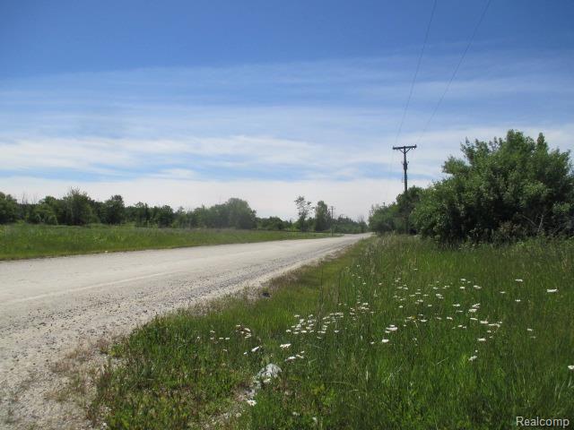 4577 Cade Road Imlay City, MI 48444 - Photo 25 of 25 street (2).jpg