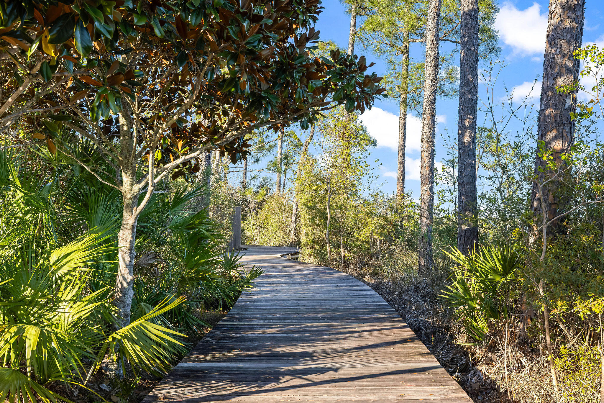 79 Perrin Santa Rosa Beach, FL 32459 - Photo 104 of 105 87_Churchill_Oaks_Nature_Boardwalk