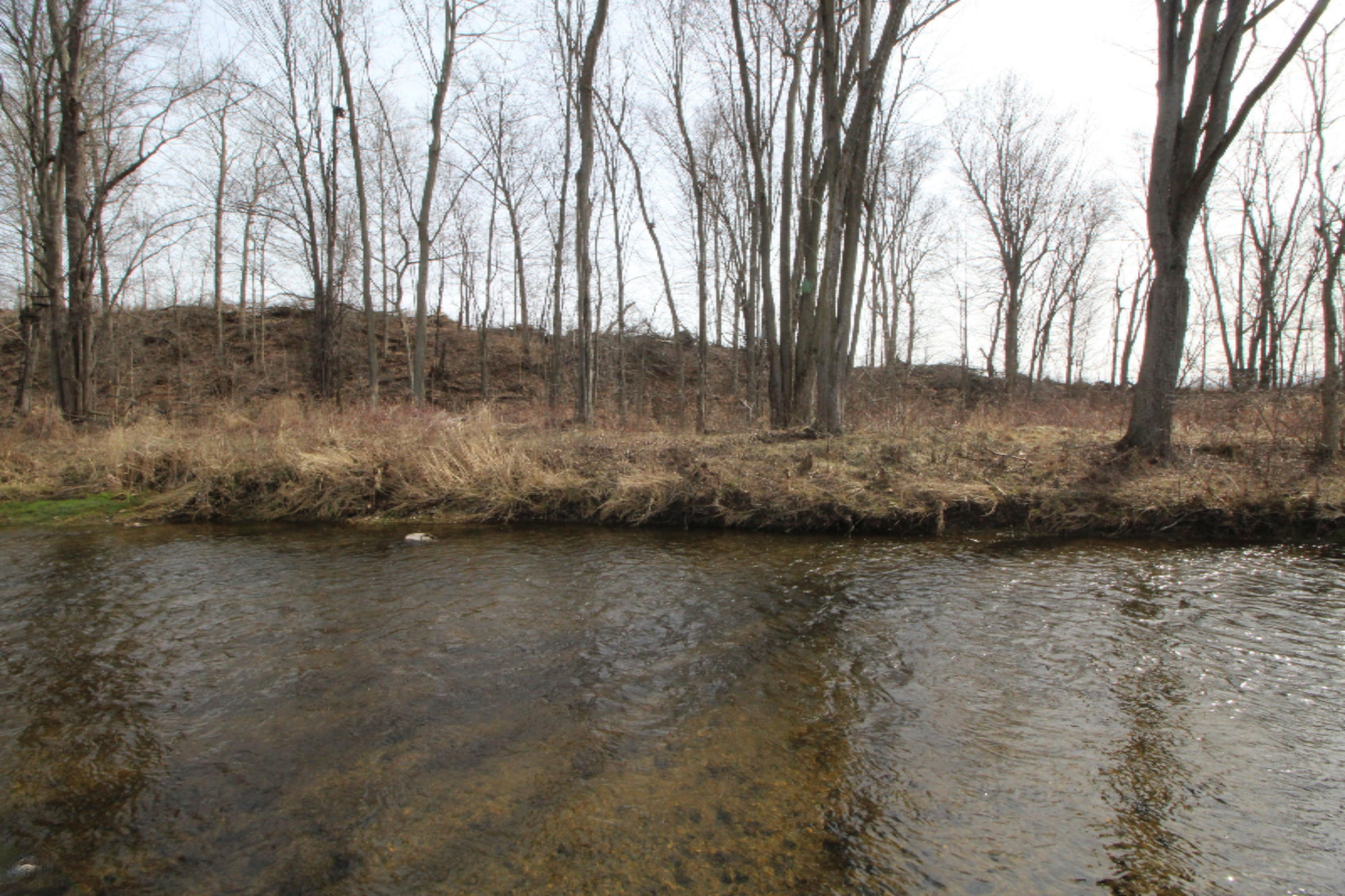 Lot 15 Old Barn Road Freeport, MI 49325 - Photo 5 of 7 coldwater river