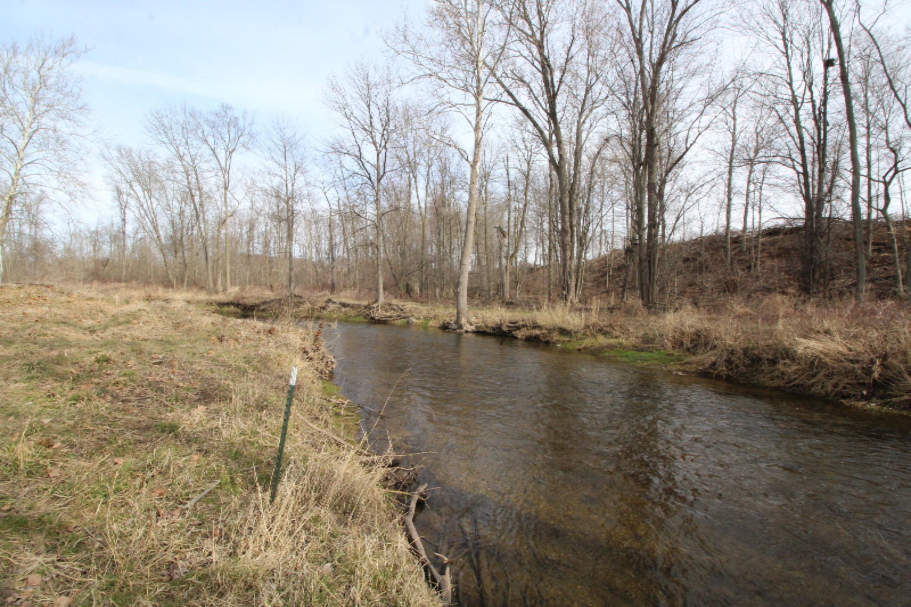 Lot 15 Old Barn Road Freeport, MI 49325 - Photo 6 of 7 coldwater river