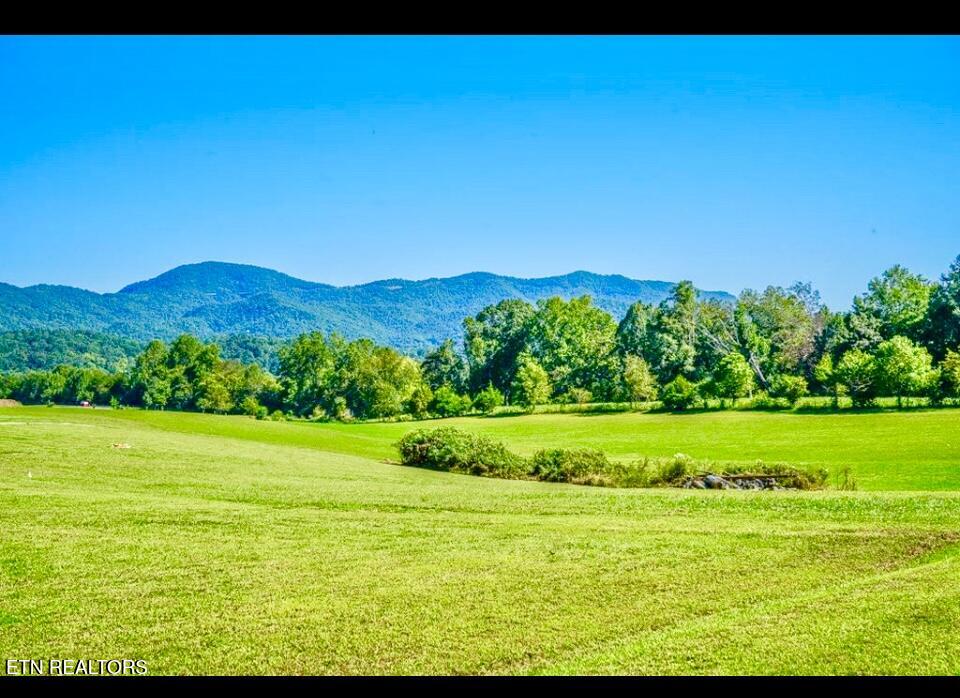 237 Myers Road Townsend, TN 37882 - Photo 2 of 7 Image 02