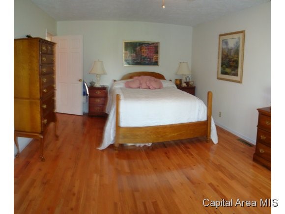 4200 Selfick Lane Springfield, IL 62702 - Photo 6 of 13