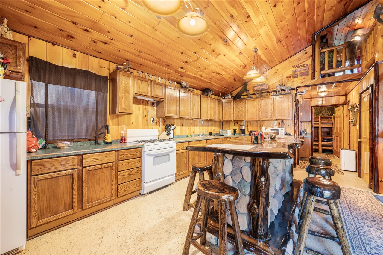 1597 South Saddler Road Luther, MI 49656 - Photo 9 of 38