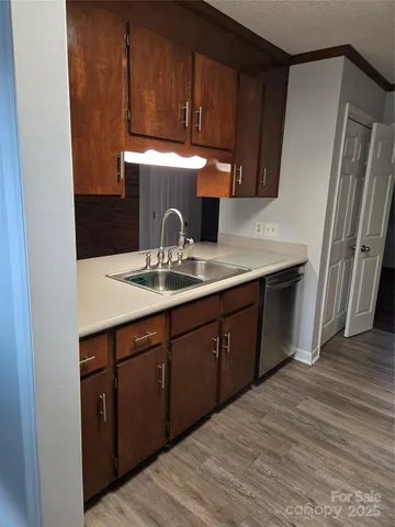 a view of a trees in a yard