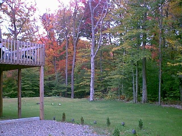 5067 Lake Road Tobyhanna, PA 18466 - Photo 3 of 11 Backyard