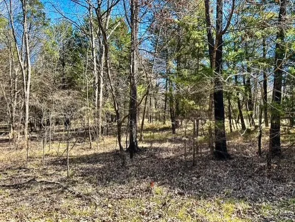 $800,000 | 3500 County Road 3500, Emory, TX 75440