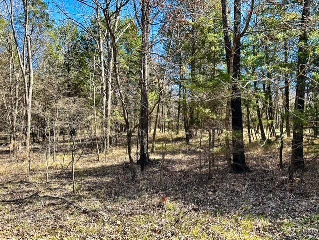 3500 County Road 3500 Emory, TX 75440 - Photo 11 of 19