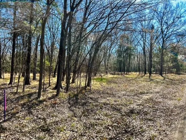 $800,000 | 3500 County Road 3500, Emory, TX 75440