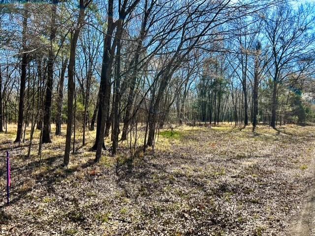 3500 County Road 3500 Emory, TX 75440 - Photo 13 of 19