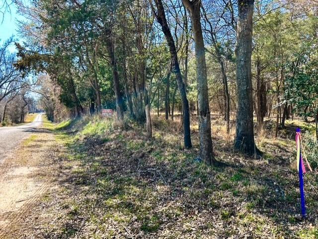 3500 County Road 3500 Emory, TX 75440 - Photo 14 of 19