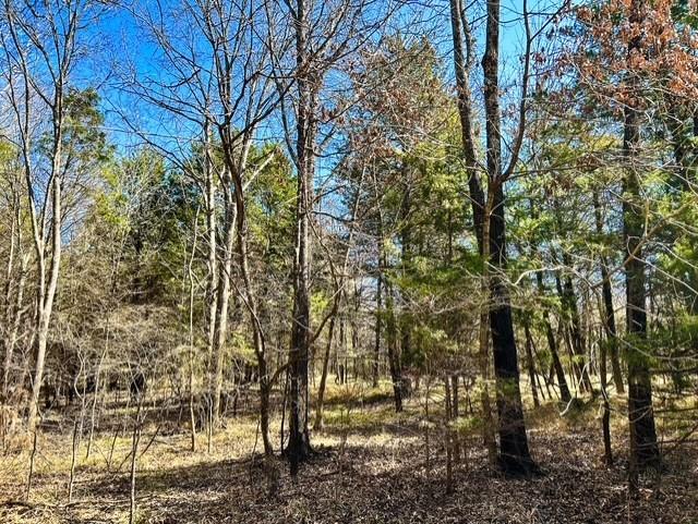 3500 County Road 3500 Emory, TX 75440 - Photo 7 of 19