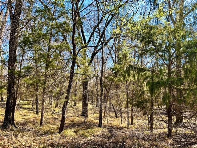 3500 County Road 3500 Emory, TX 75440 - Photo 8 of 19