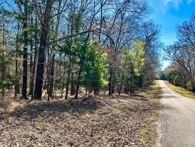 3500 County Road 3500 Emory, TX 75440 - Photo 9 of 19