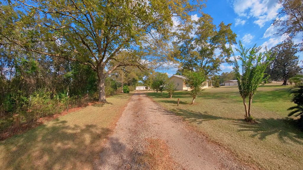 1235 Clayton Road Ashford, AL 36312 - Photo 36 of 37