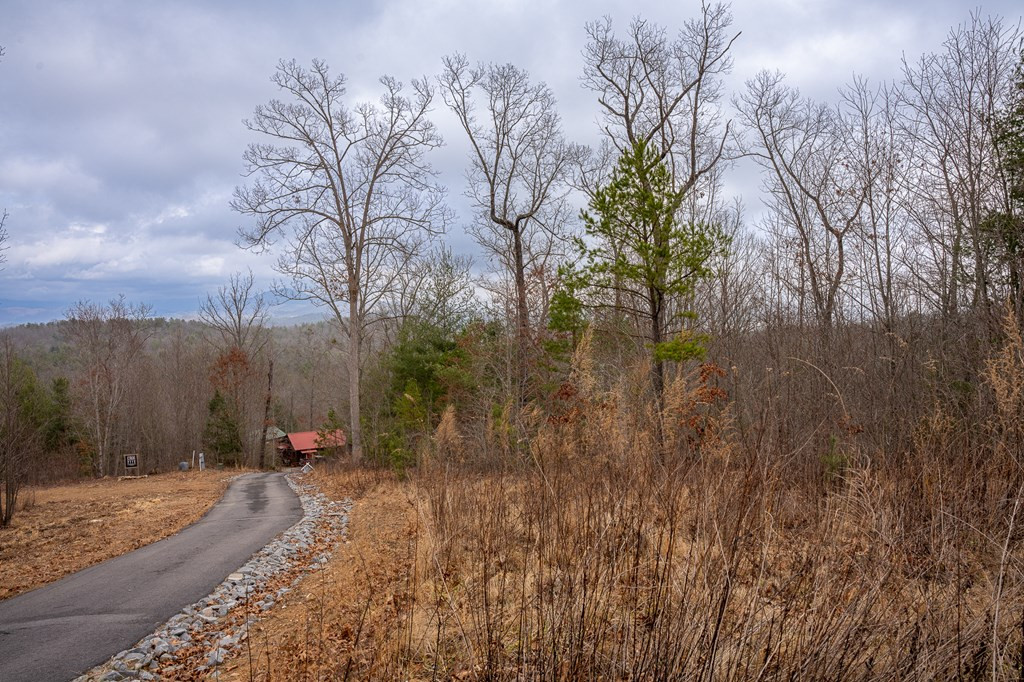 Lot 63 Lake Wood Road Murphy, NC 28906 - Photo 24 of 28