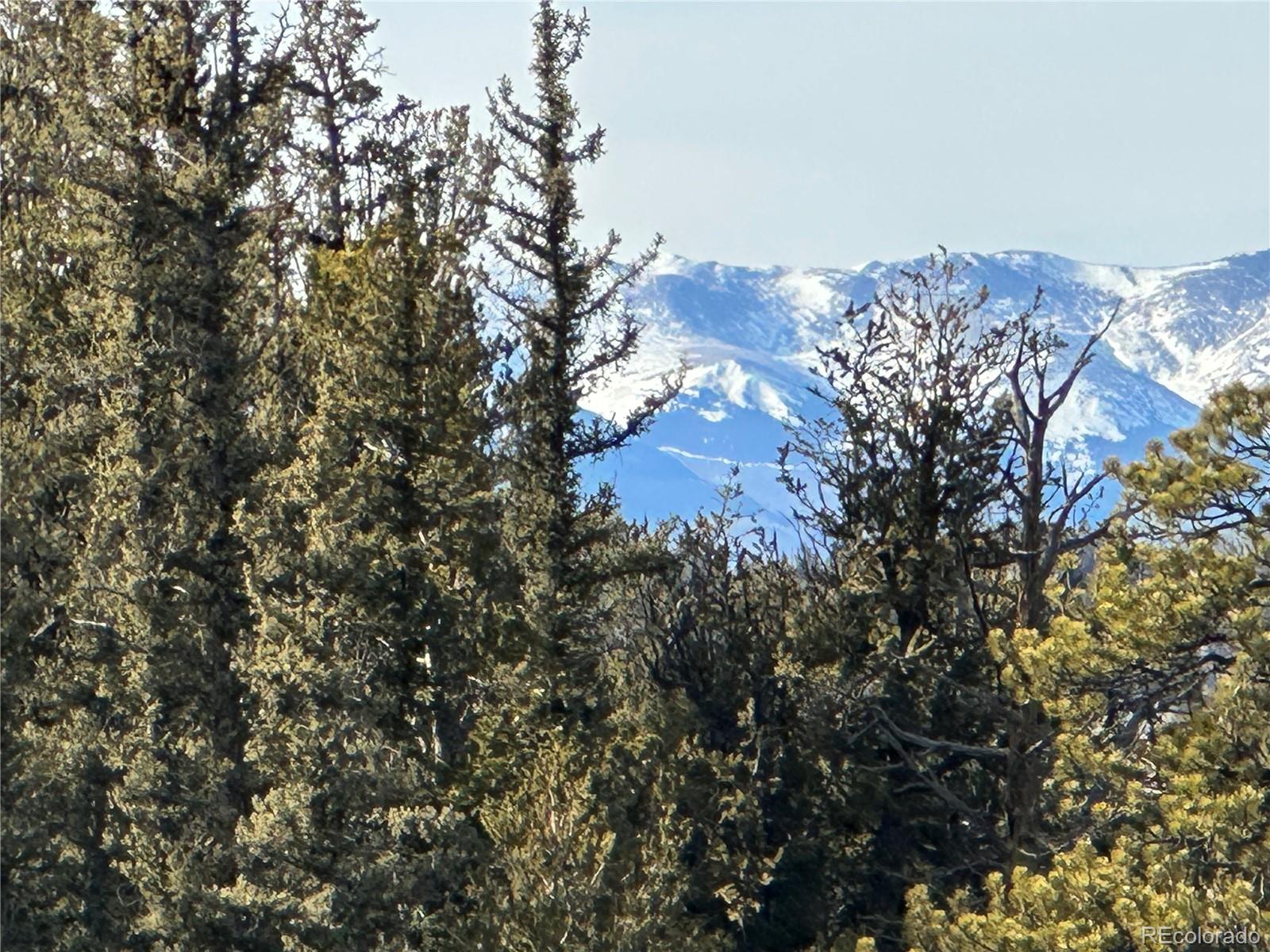 1289 Willow Way Jefferson, CO 80456 - Photo 2 of 49 a view of a house with a tree