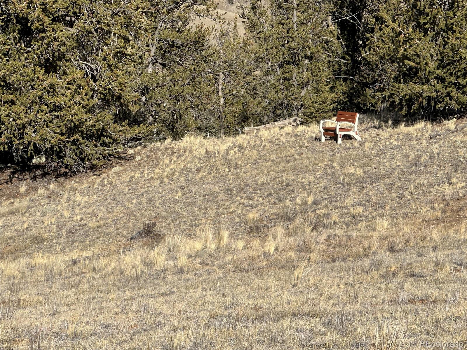 1289 Willow Way Jefferson, CO 80456 - Photo 32 of 49 a view of a yard with a tree
