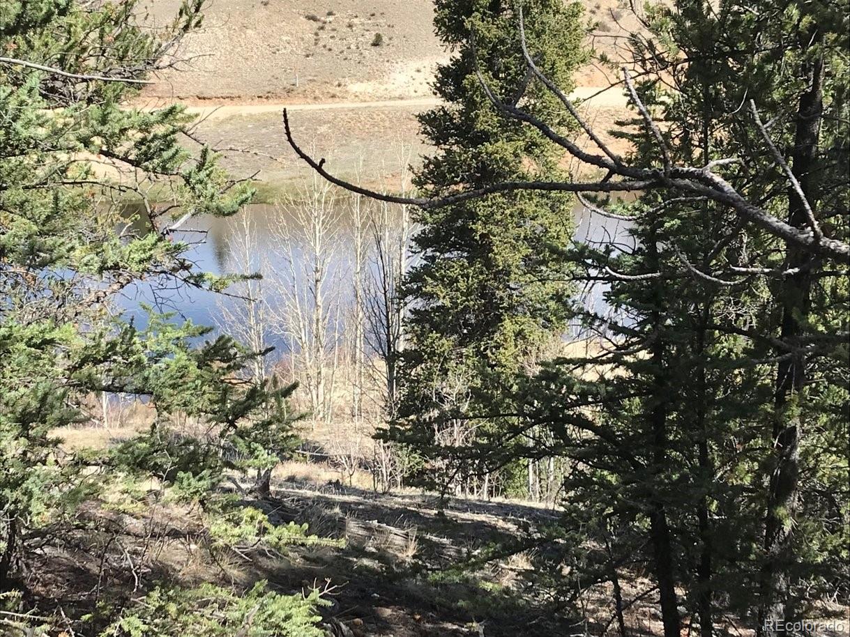 1289 Willow Way Jefferson, CO 80456 - Photo 6 of 49