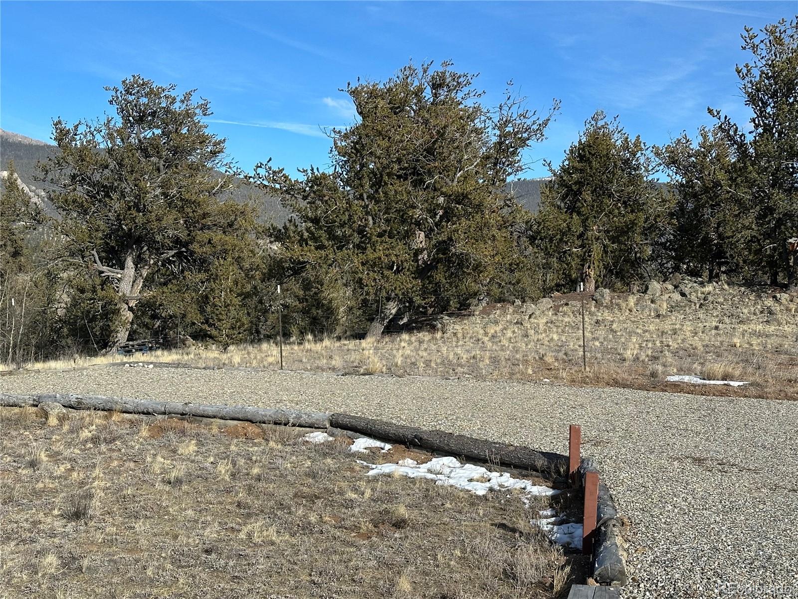 1289 Willow Way Jefferson, CO 80456 - Photo 10 of 49 a view of a yard with trees