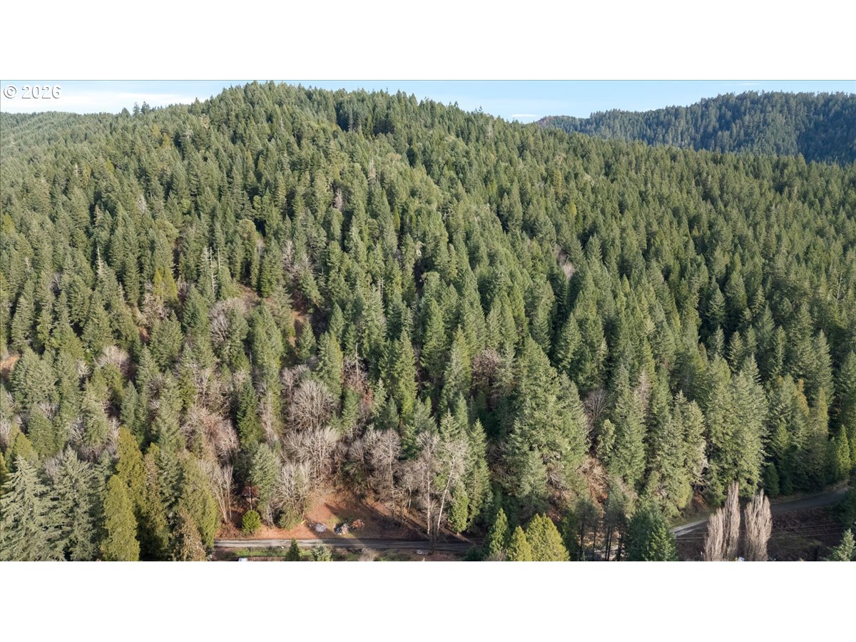 796 Lees Crk Road Myrtle Creek, OR 97457 - Photo 28 of 41