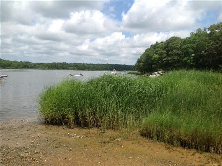 272 Pine Ridge Road Cotuit, MA 02635 - Photo 19 of 19 a view of a lake with a yard