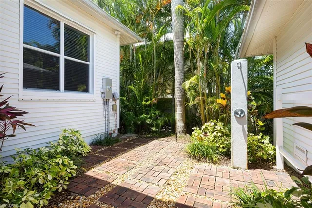 a view of a backyard with potted plants