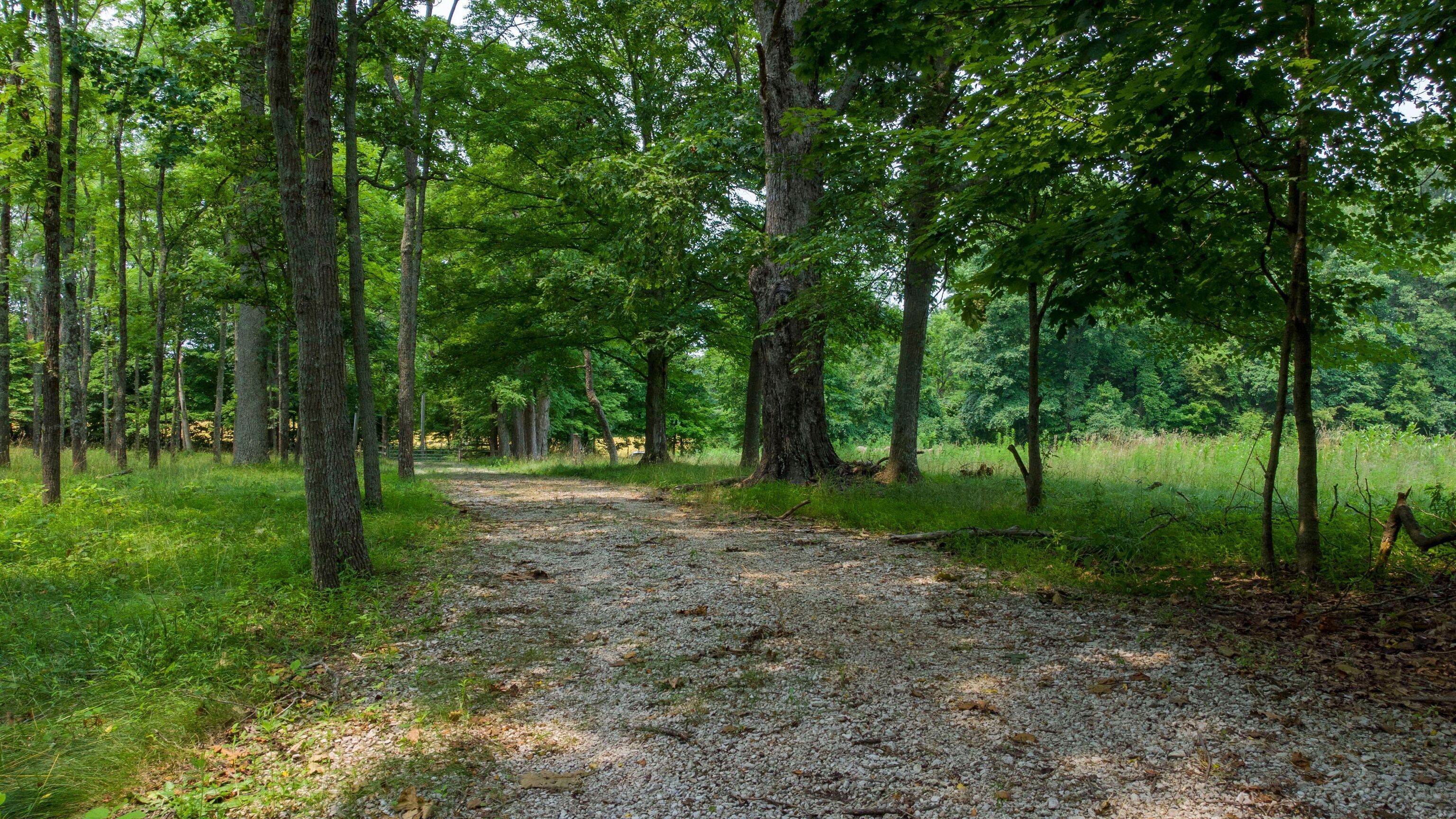 6946 Upper Cliff Road Poland, IN 47868 - Photo 27 of 34