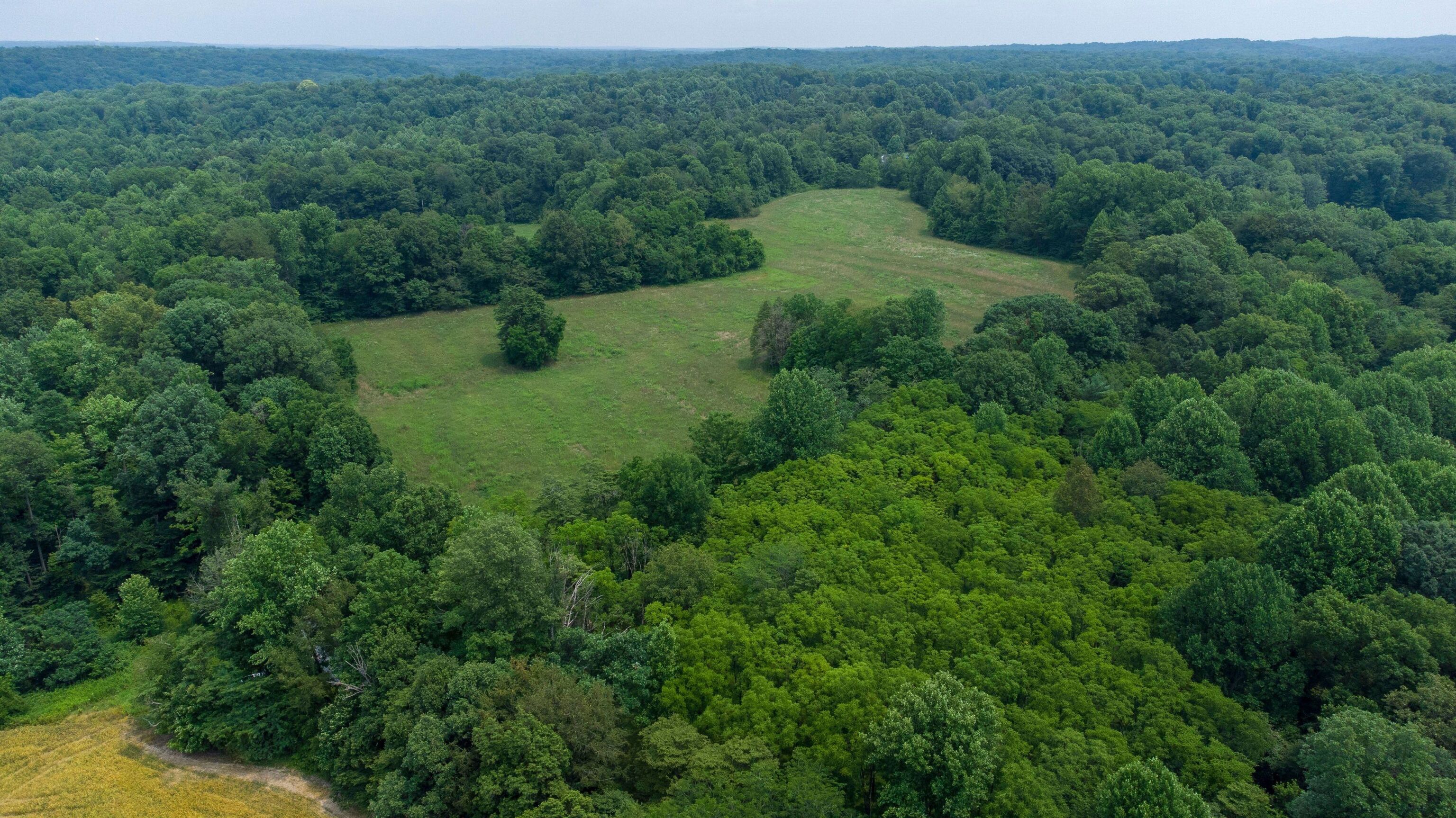 6946 Upper Cliff Road Poland, IN 47868 - Photo 29 of 34