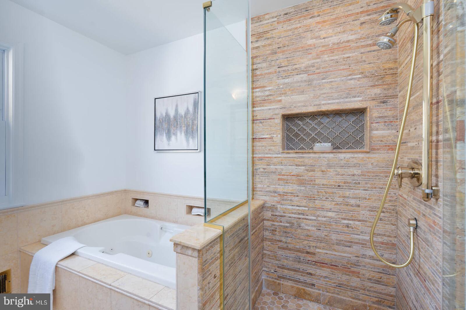 10313 Inwood Avenue Silver Spring, MD 20902 - Photo 15 of 33 Jetted tub and standing shower