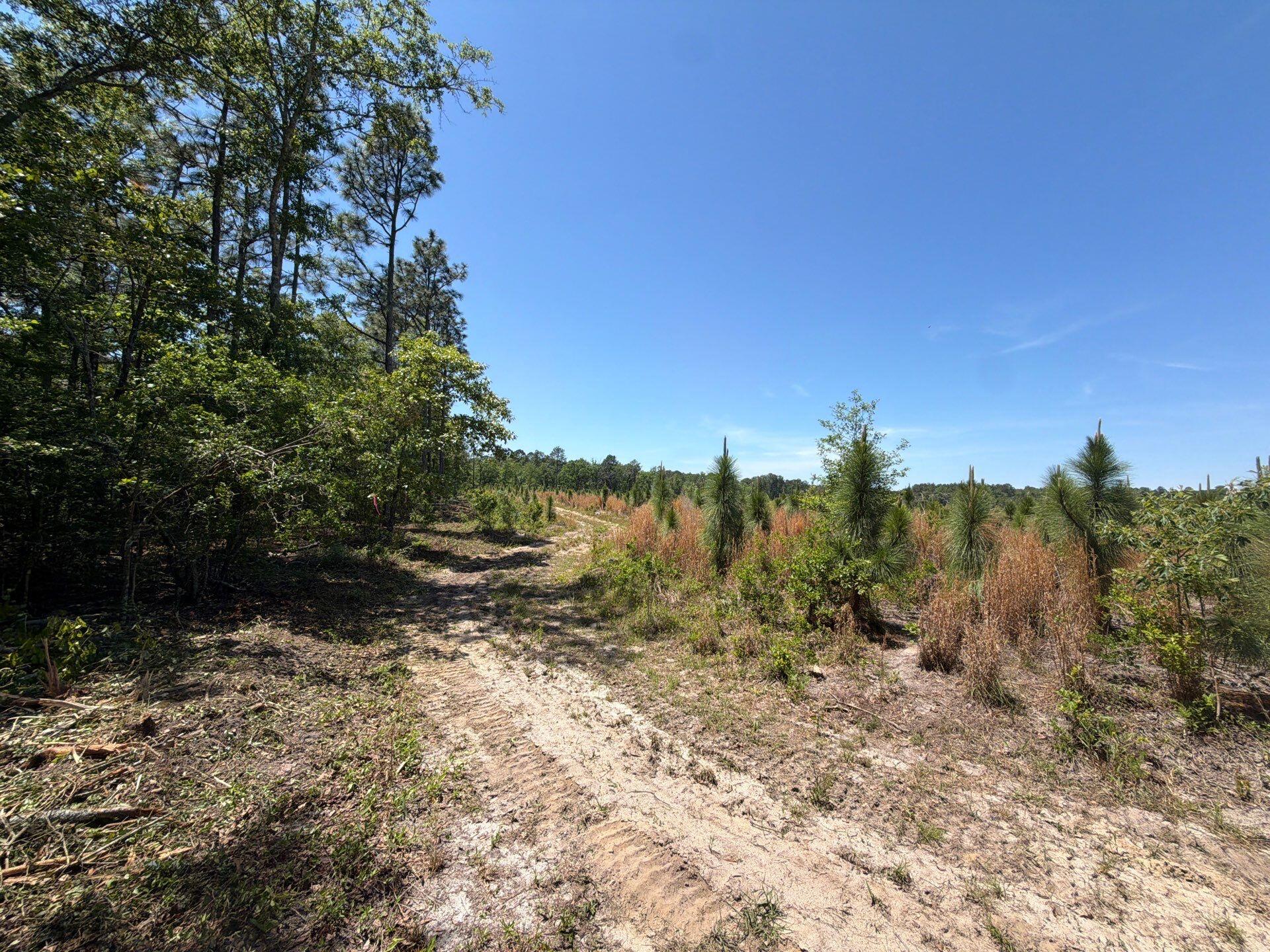 3 Holstein Road, Unit HRF 3 Wagener, SC 29164 - Photo 19 of 24