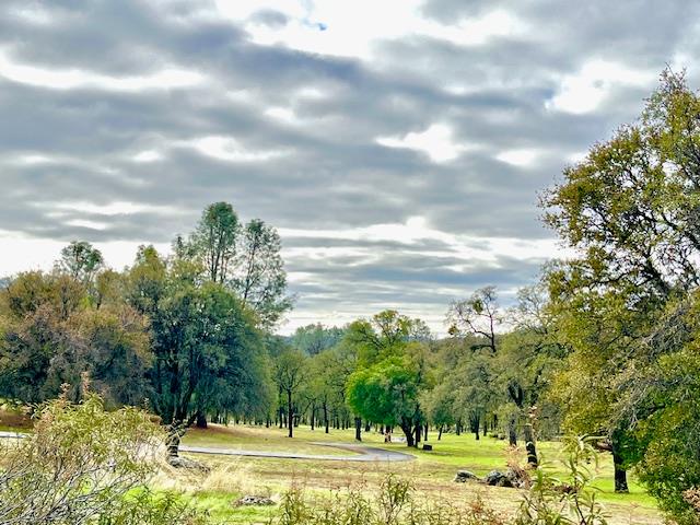 5037 Morgan Road Angels Camp, CA 95222 - Photo 1 of 1 Gallery Image 1