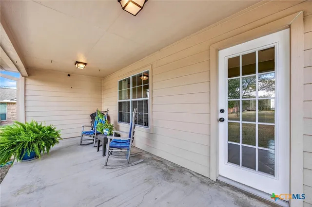 a view of a garden with plants