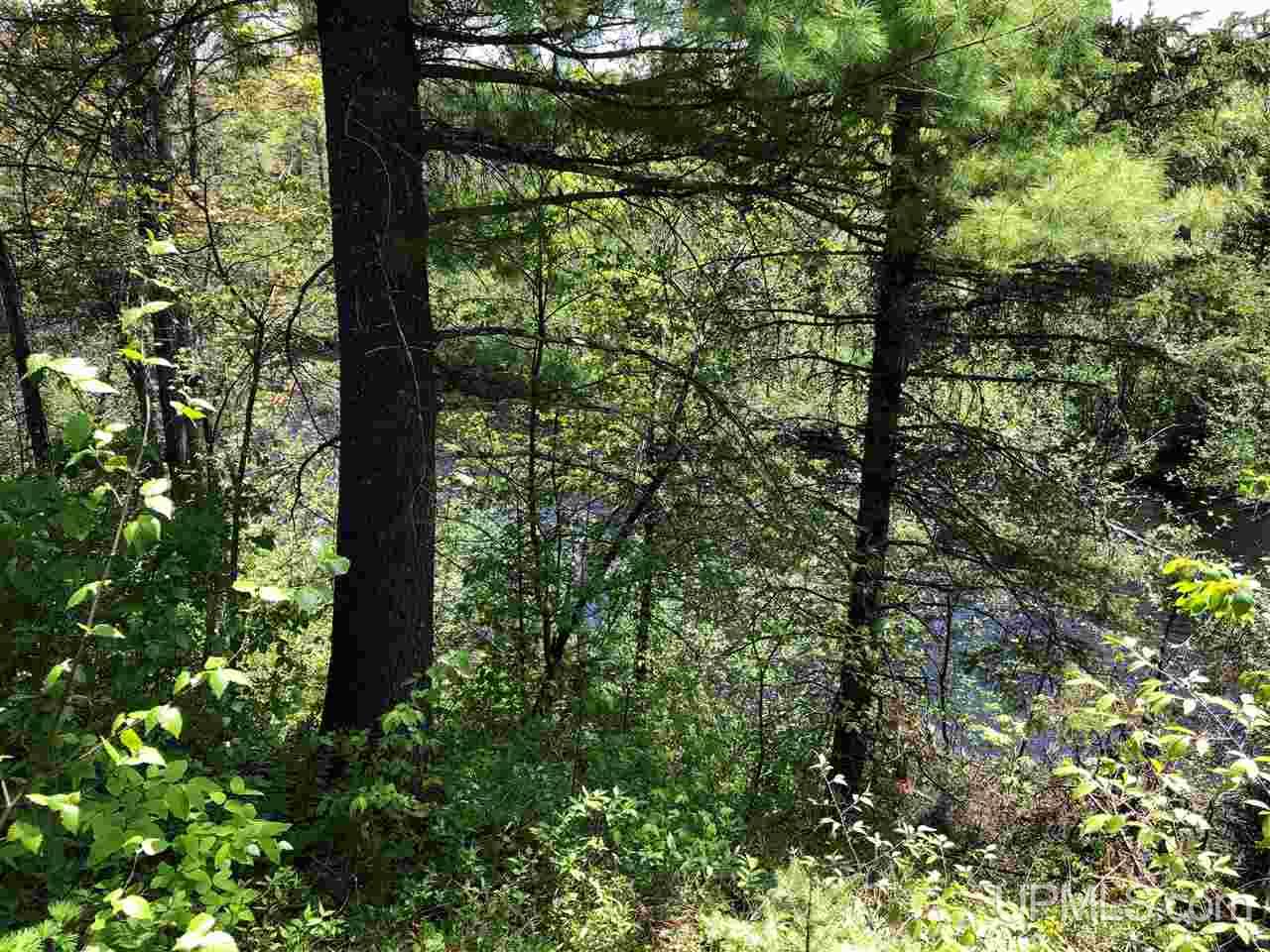 79.99-ac Off West Harding Road Bessemer, MI 49911 - Photo 24 of 33
