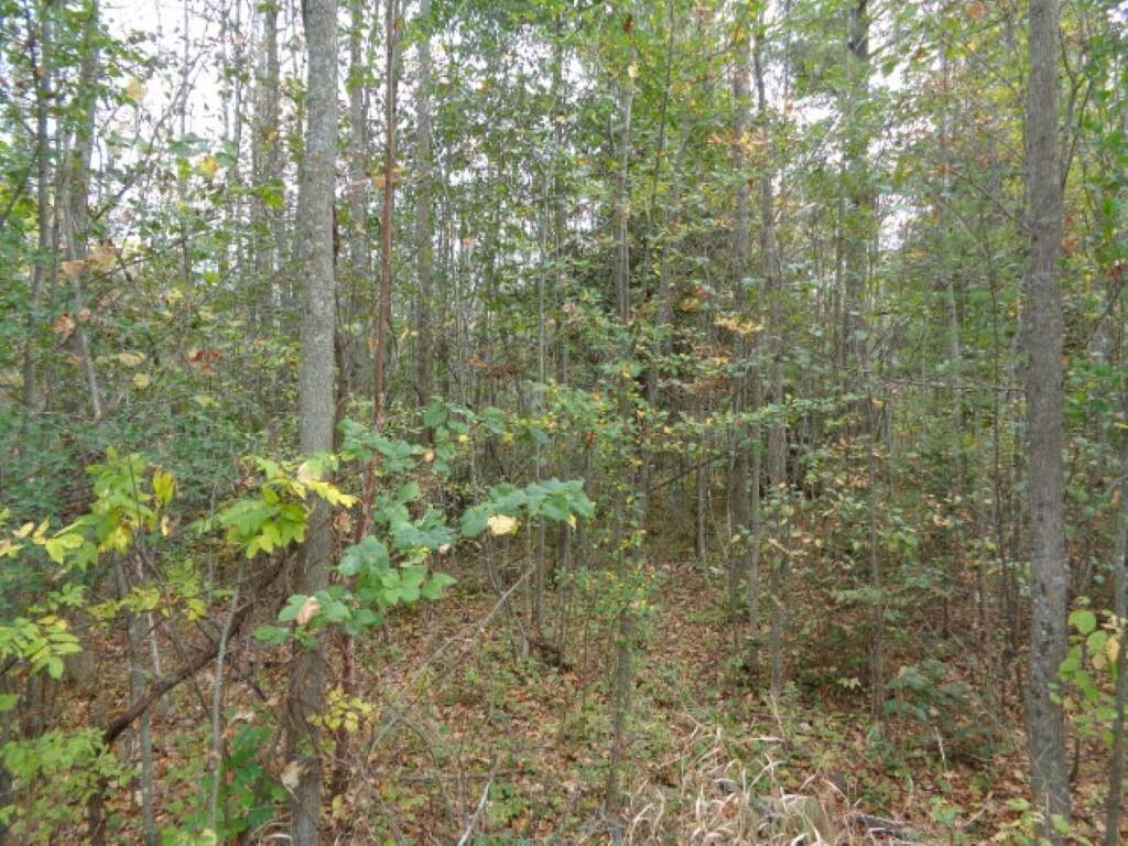 Lt0 Lt0 Cth G Suring, WI 54174 - Photo 1 of 1 Wooded