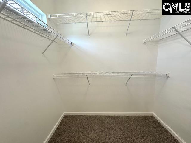 318 Carson Court Lexington, SC 29073 - Photo 11 of 15