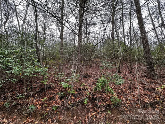 $15,000 | Lot 3 Tara Hills Road, Whittier, NC 28789