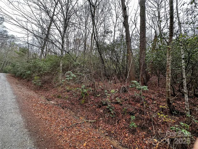 $15,000 | Lot 3 Tara Hills Road, Whittier, NC 28789