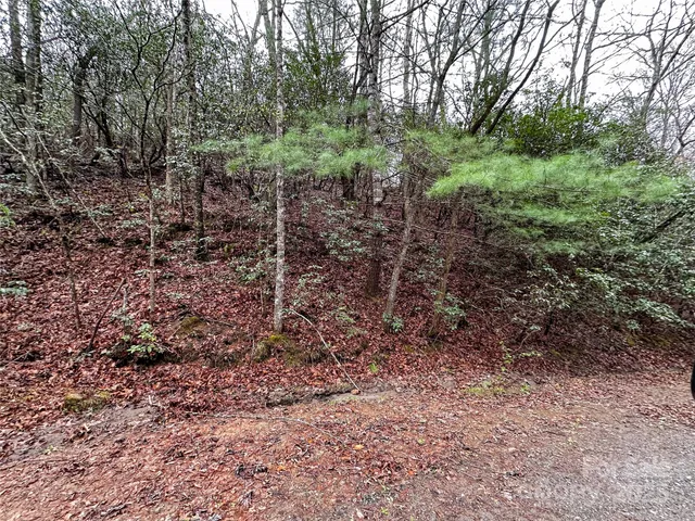 $15,000 | Lot 3 Tara Hills Road, Whittier, NC 28789